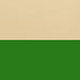 Cream-Green