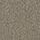 Gray Dove