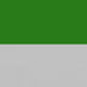 Green-Silver