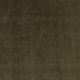 Loden