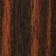 Macassar