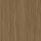 Modern Teak