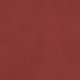 Salsa