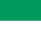 Shamrock Green-White
