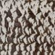 Terra Cotta