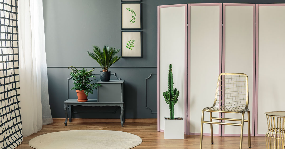 Room Dividers