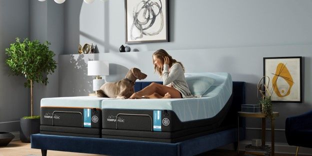 Woman and her Weimaraner dog on a split Tempur-Pedic mattress on an adjustable power base 