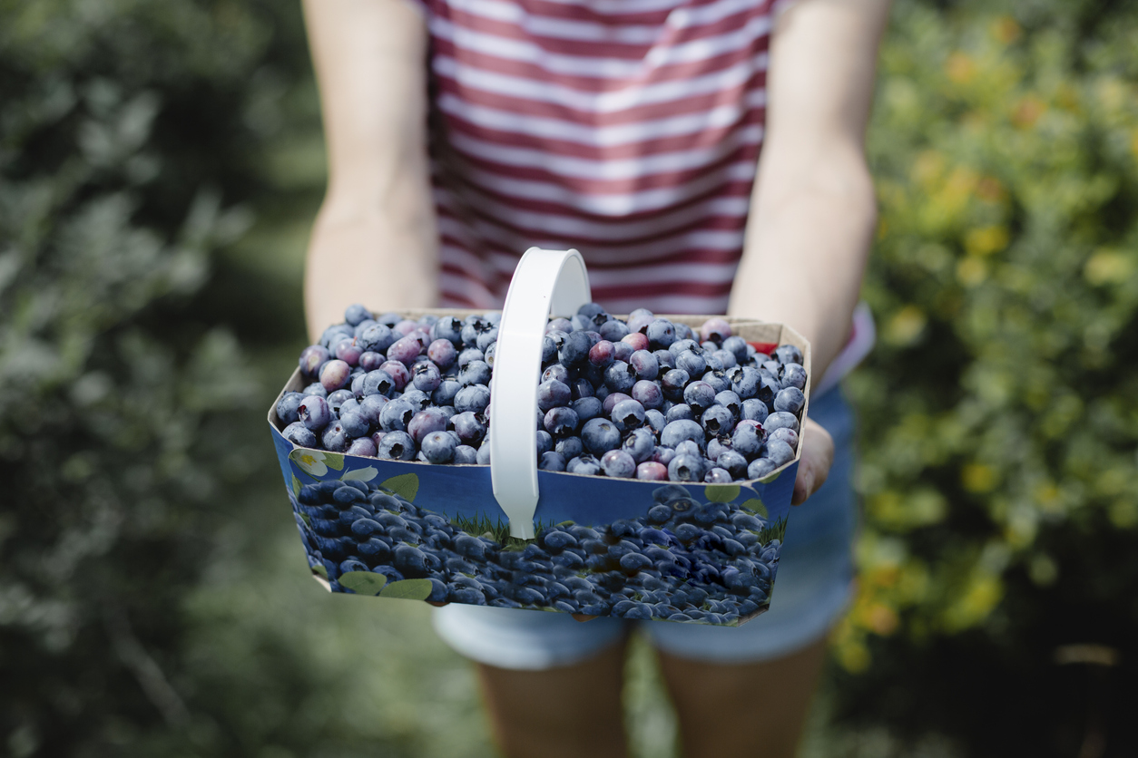 blueberries