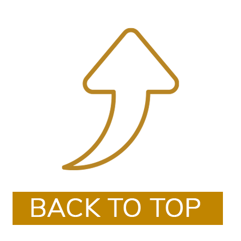 Promo Icon1