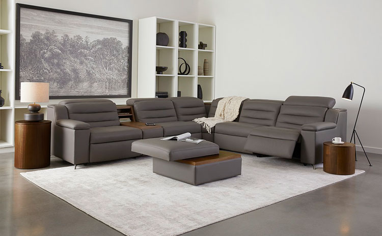 Palliser-Lotus-Tech-Sectional