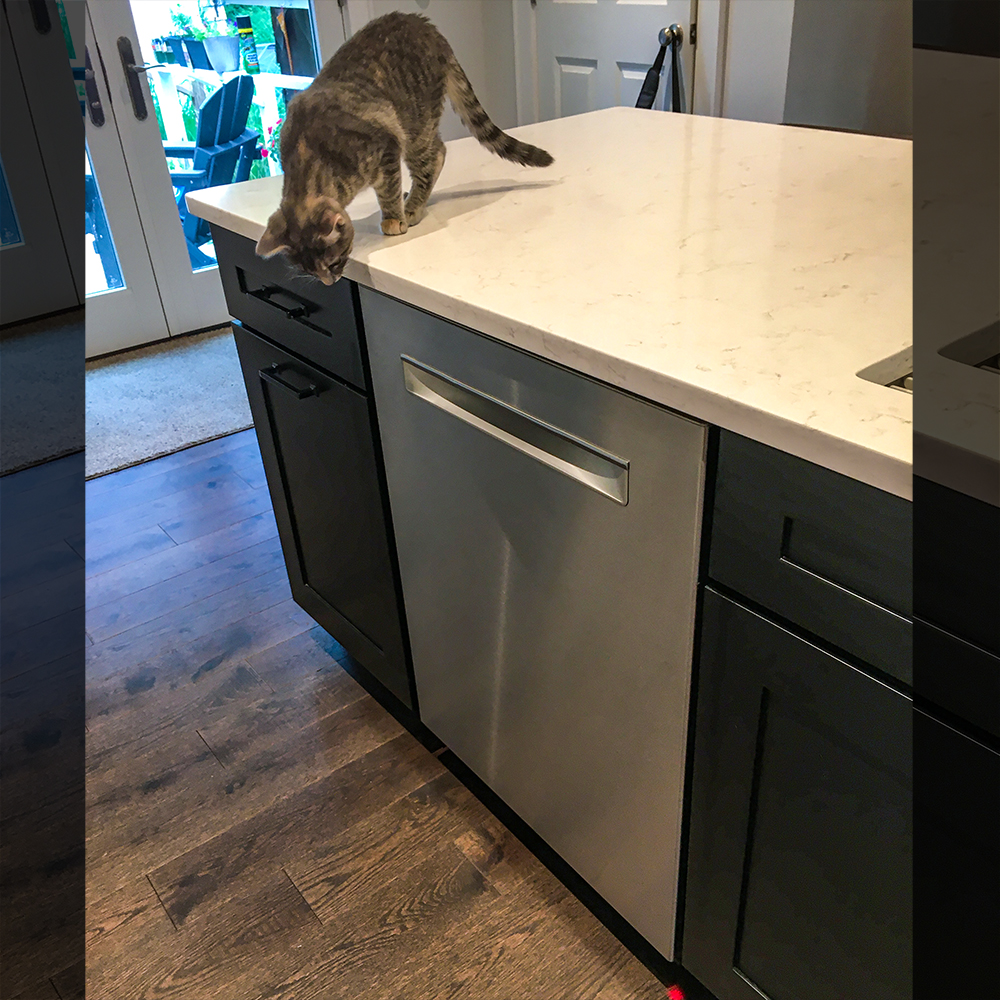 Bosch Dishwasher