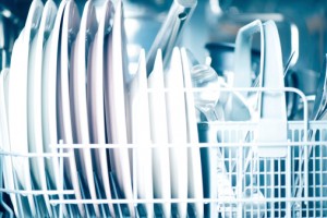 Dishwasher Repair Service Sebastopol