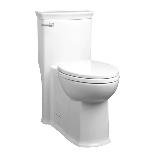 What You Should Know When Replacing a Toilet