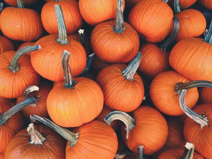 7 Pumpkin Recipes to Cook Up This Fall