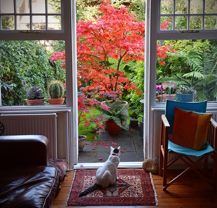 Thinking Ahead-Decorate Your Sofa and Living Room for Fall