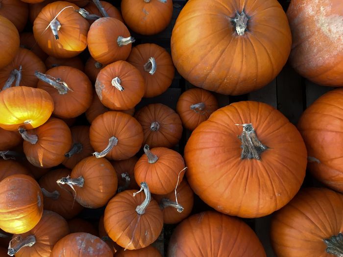 Pumpkin Pie Soufflés – For the Person Not Ready to Let Go of Fall