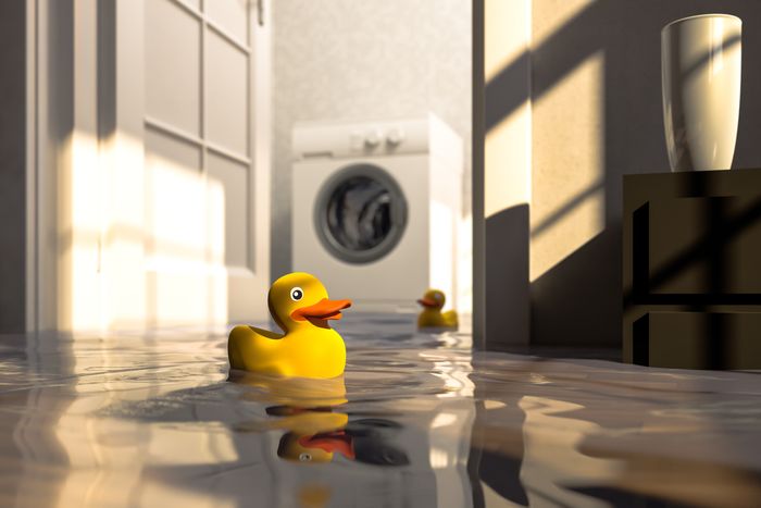 6 Unexpected Items You Can and Can't Wash in a Laundry Machine