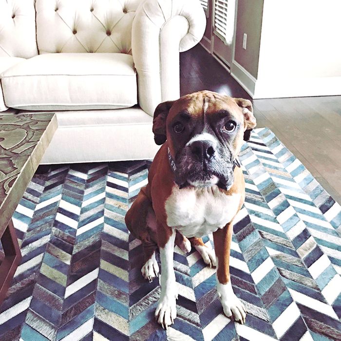 How to Decorate with Area Rugs