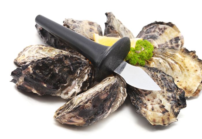4 Ways to Cook Oysters with a Frigidaire Gallery Range for Oyster Day 