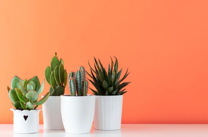 How to Decorate Your Kitchen Using KitchenAid's 2018 Color of the Year