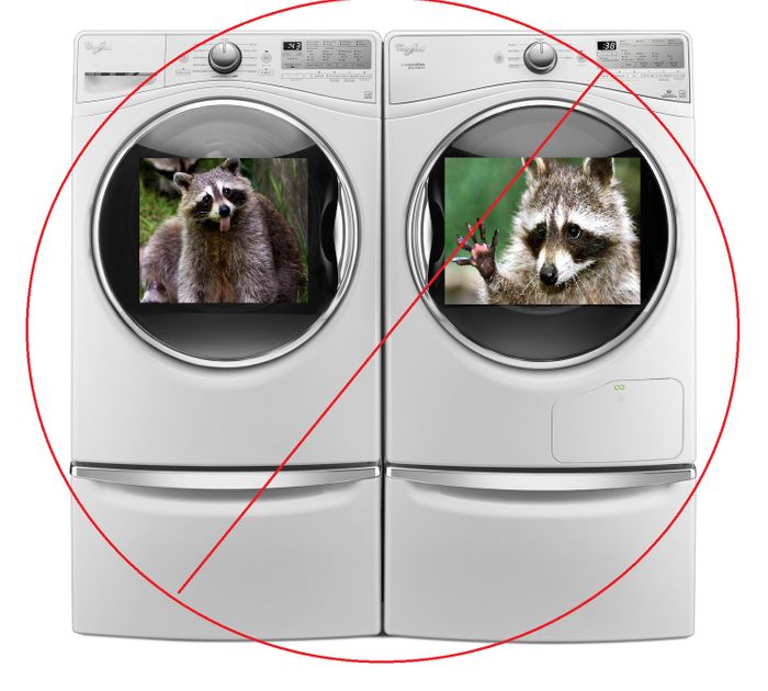 5 Things You Should Never Put in Your Whirlpool Dryer