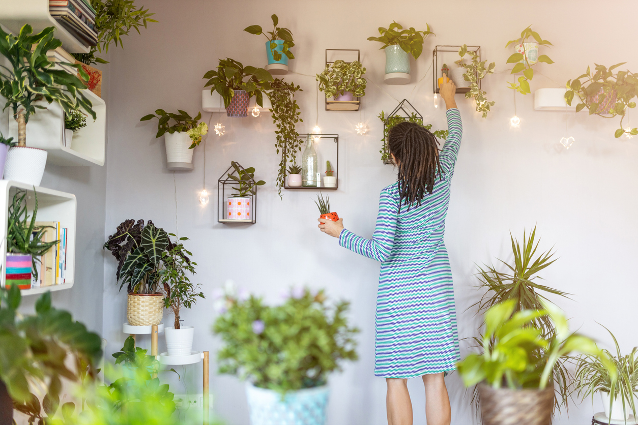 5 Biophilic Design Ideas to Make Your Indoors Feel Like the Outdoors ...