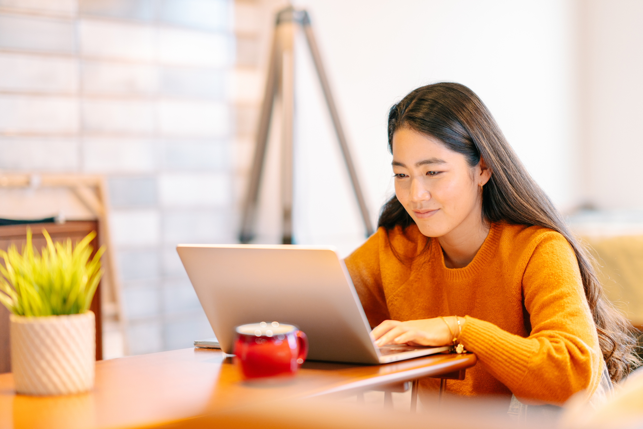 woman on her laptop shopping online 