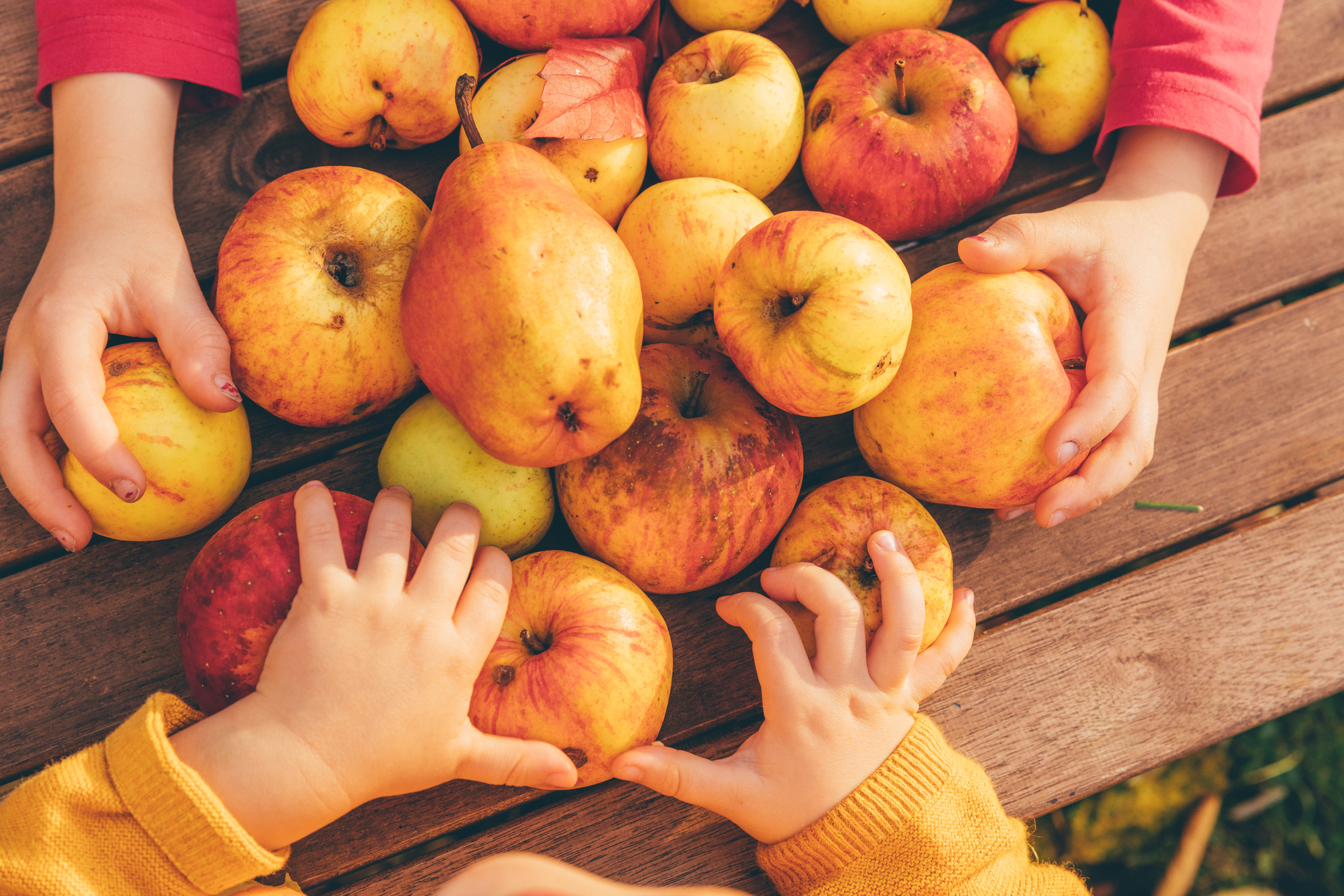 kids reaching for apples and pears