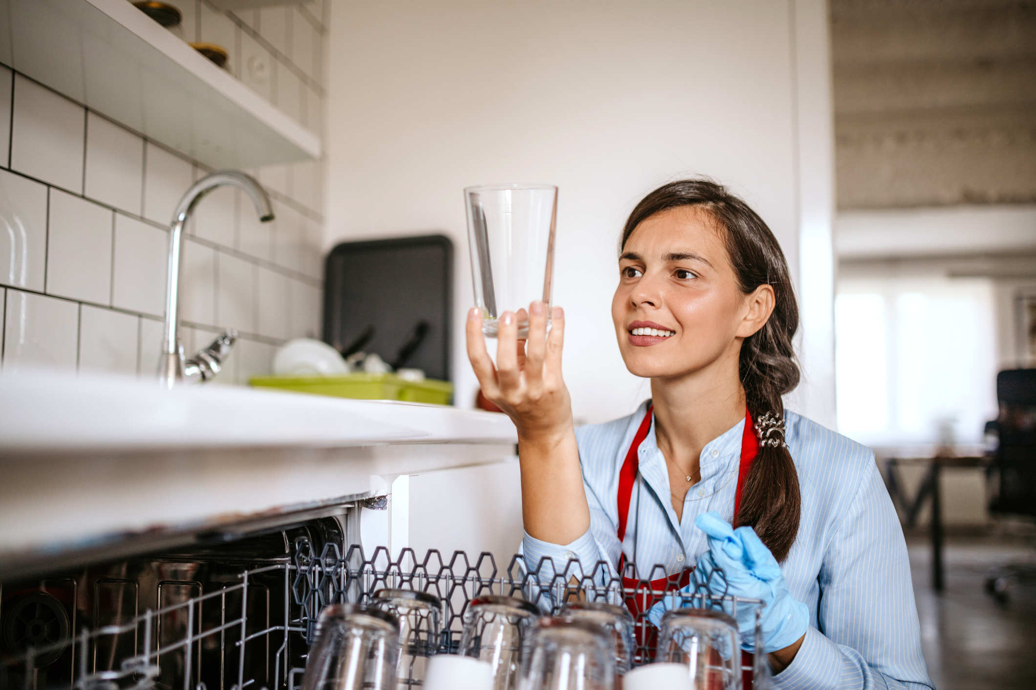 countertop dish sanitizer
