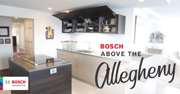 Bosch Above the Allegheny