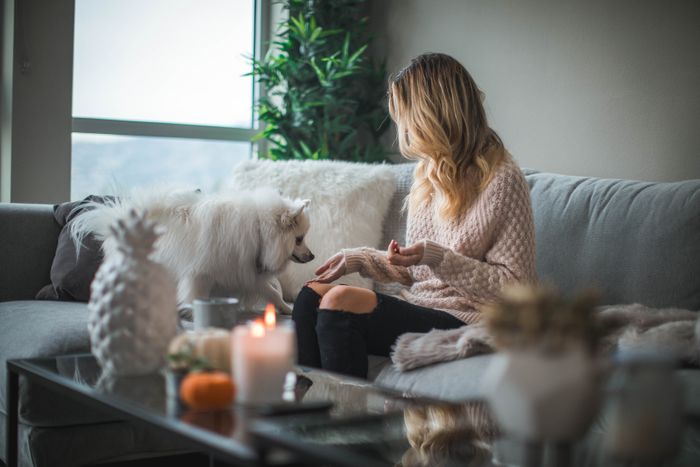 A woman sits on a blue couch with a white, fuzzy throw pillow and a white Pomeranian.