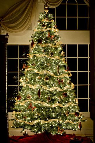 Picking the Perfect Tree