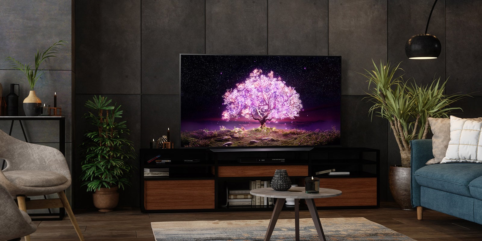 LG TV and Home Entertainment