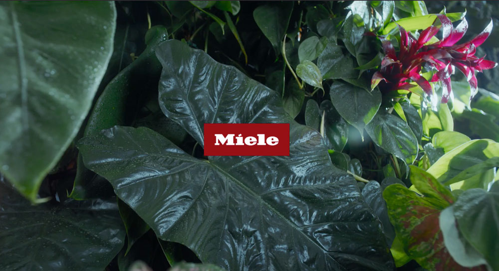 Miele Kitchen Appliances | Grand Appliance and TV
