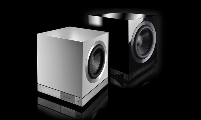 Black and White DB Series subwoofer