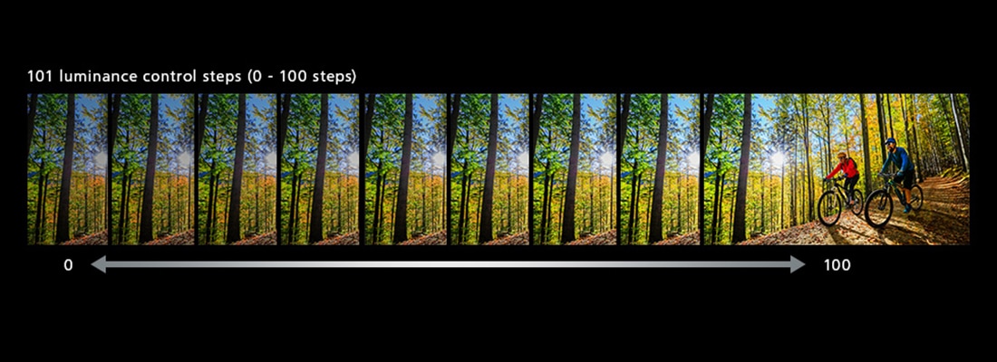 101 luminance control steps (0 - 100 steps)