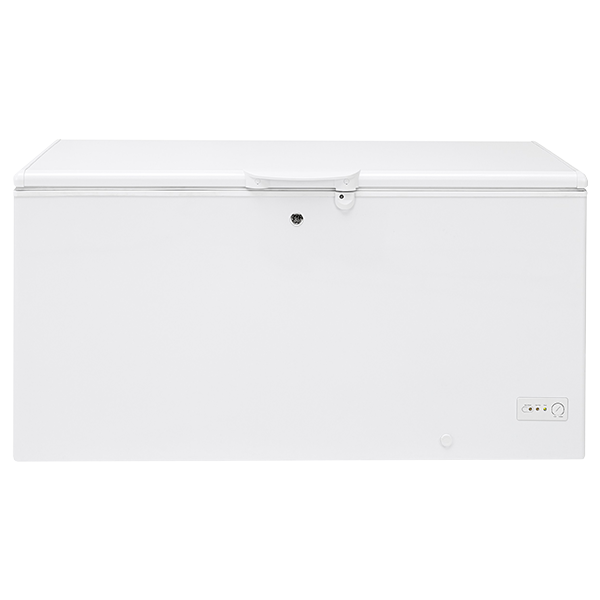 GE - Shop Freezer