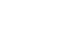 Flexsteel Logo