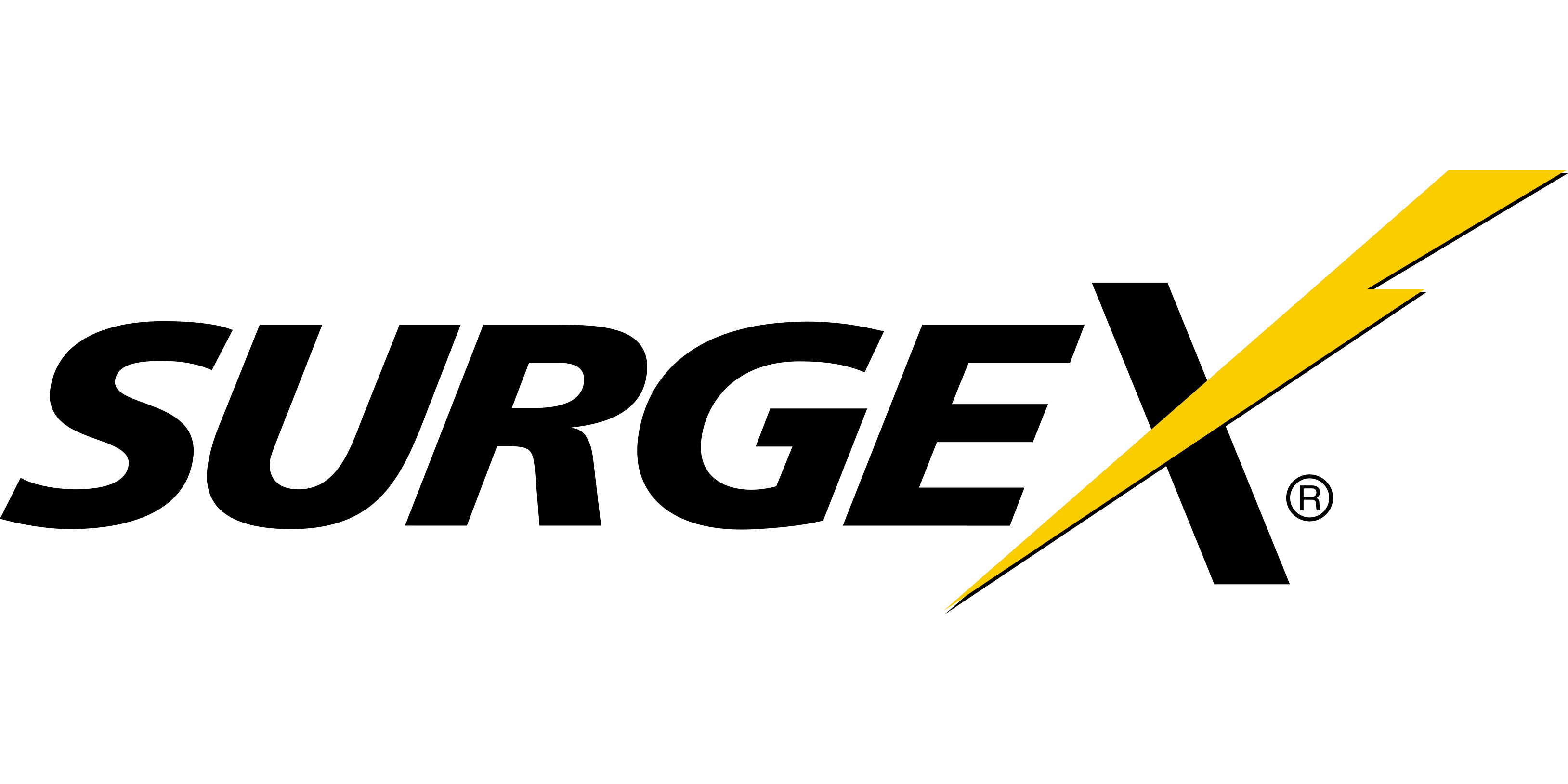 SurgeX logo