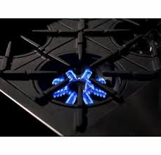 Sealed vs. Open Burner