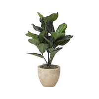 Artificial Foliage