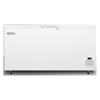 Chest Freezers
