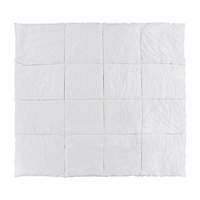 Duvet & Comforter Inserts