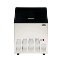 Freestanding Ice Makers