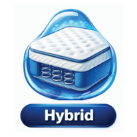 Hybrid