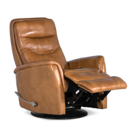Reclining Furniture