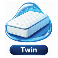 Twin