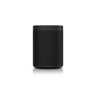 Voice Control Assistants