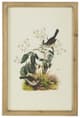 A & B Home 4-Piece Brown Bird Framed Print Wall Art Set-3