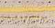 Surya Temara Butter 18"x18" Pillow Shell with Down Insert-1